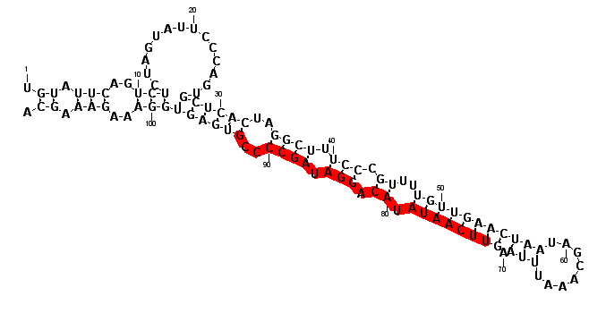 block1423 hairpin