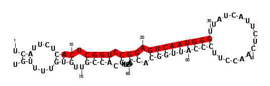 block1486 hairpin