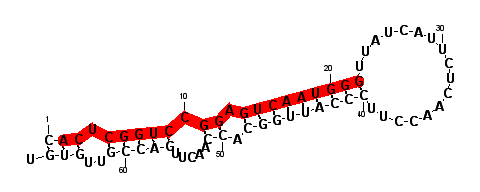 block1488 hairpin