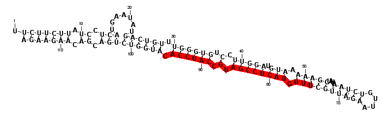 block1581 hairpin