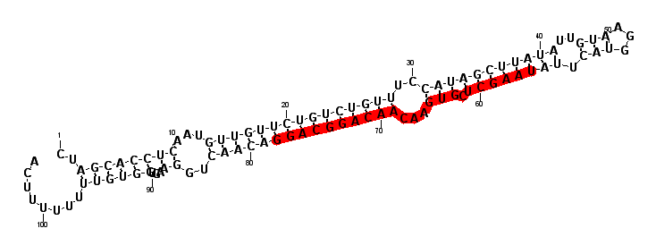 block1779 hairpin