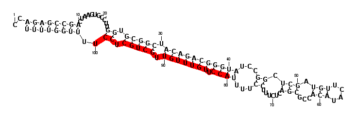 block228 hairpin