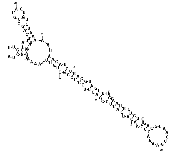 block4324 hairpin