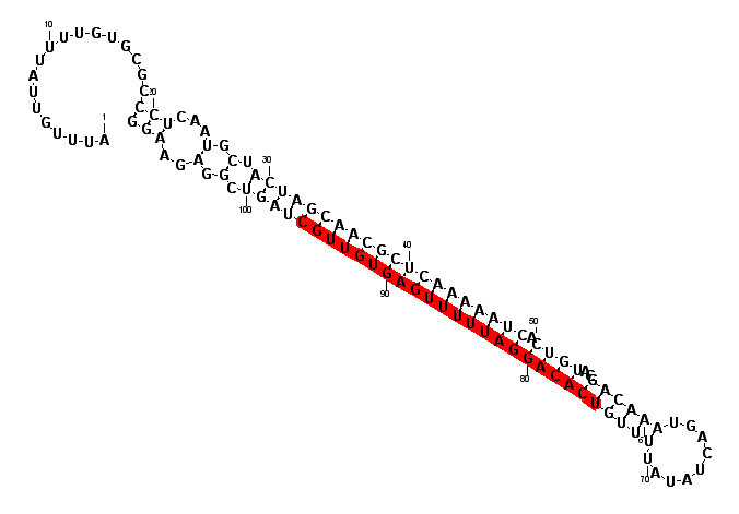 block4471 hairpin