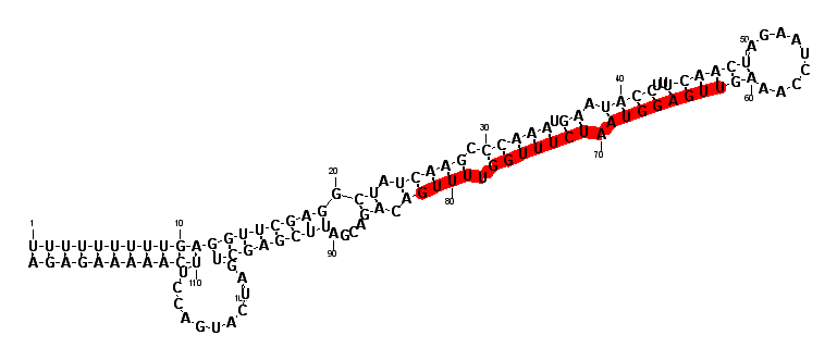 block4618 hairpin