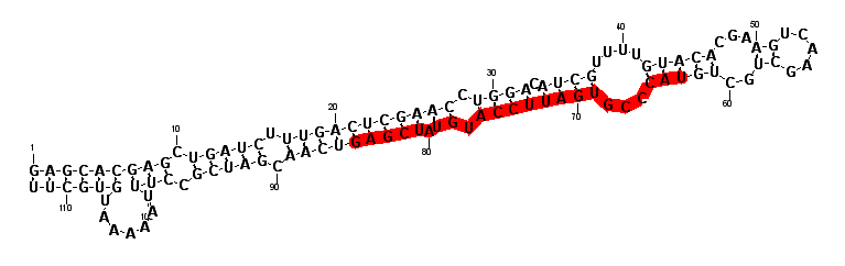 block4662 hairpin