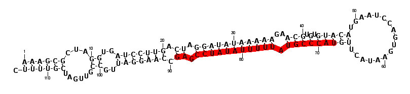 block4666 hairpin