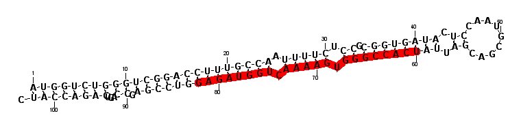 block5118 hairpin