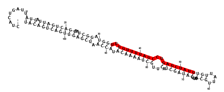 block693 hairpin