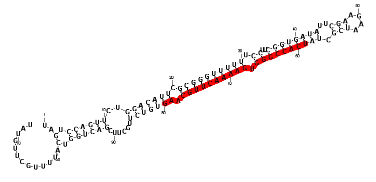 block973 hairpin