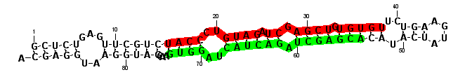 sblock12 hairpin