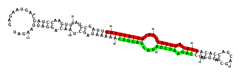 sblock87 hairpin