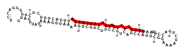 block1927 hairpin