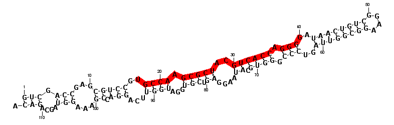 block2960 hairpin