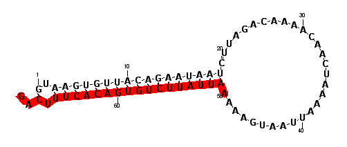 block3216 hairpin