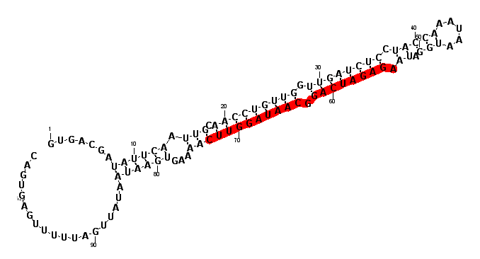 block4332 hairpin