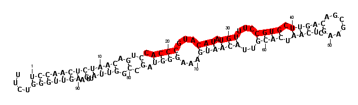 block5886 hairpin