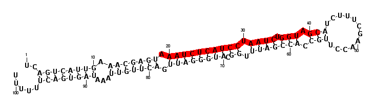 block6662 hairpin