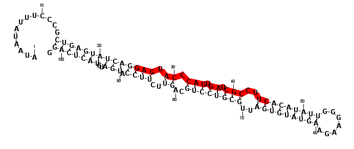 block7504 hairpin