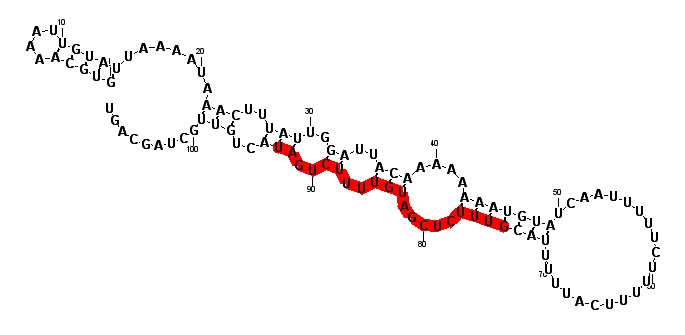 block7527 hairpin