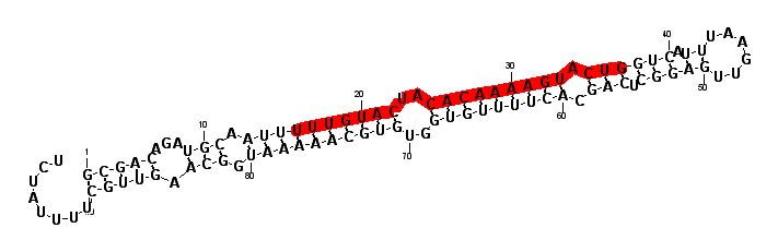 block7885 hairpin