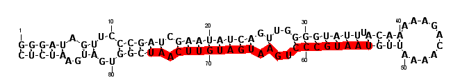 block8366 hairpin