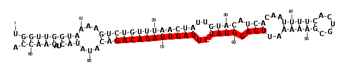 block8564 hairpin
