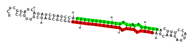 sblock18 hairpin