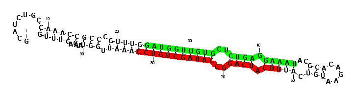 sblock26 hairpin
