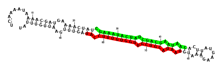 sblock54 hairpin